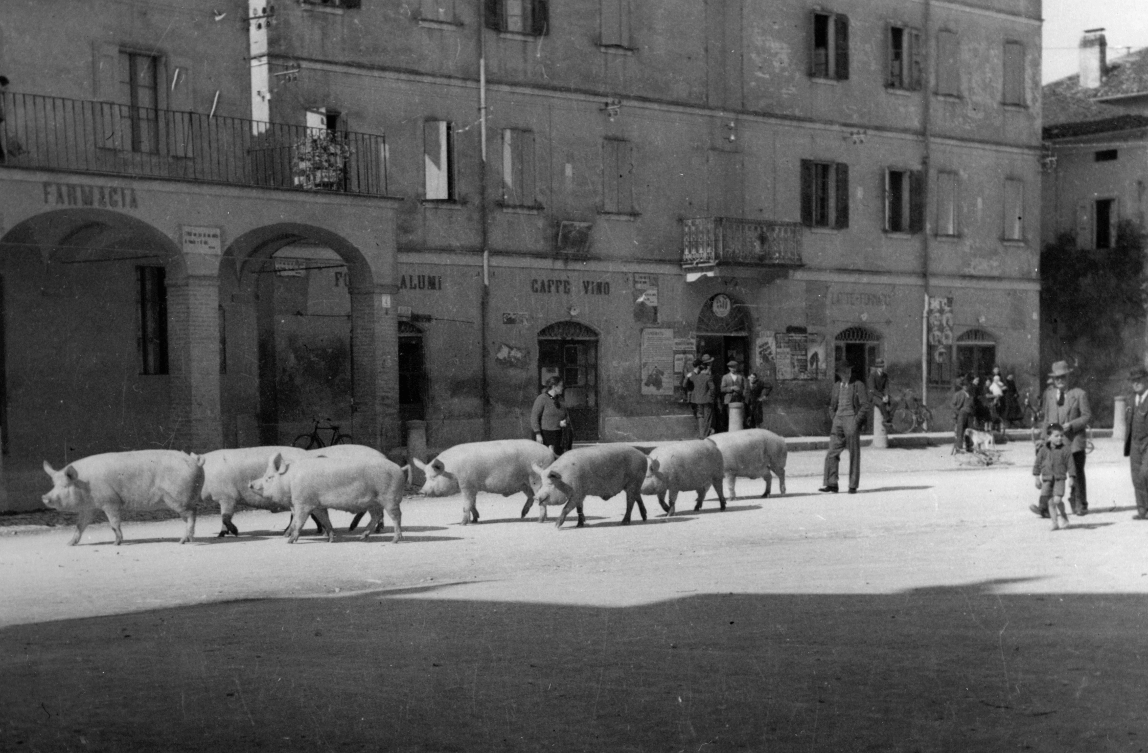 La piazza di Castelnuovo Rangone