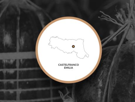 Castelfranco