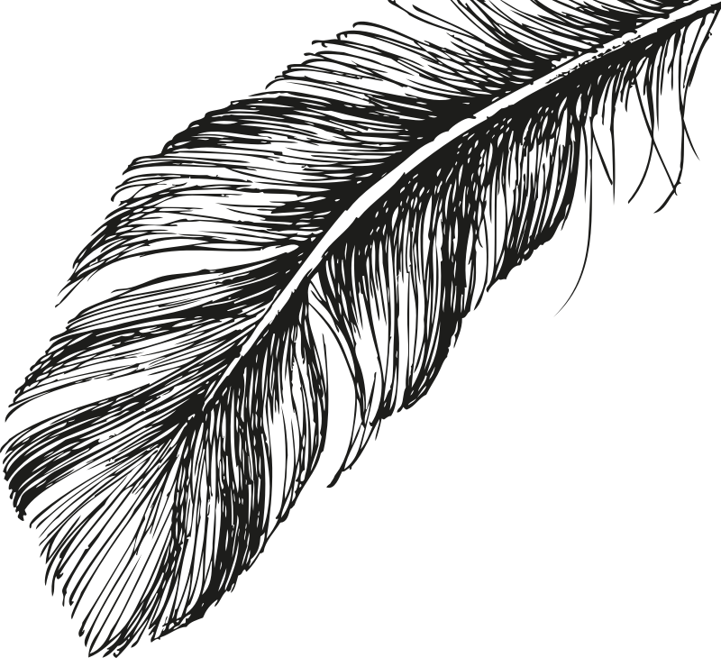 Fiocco