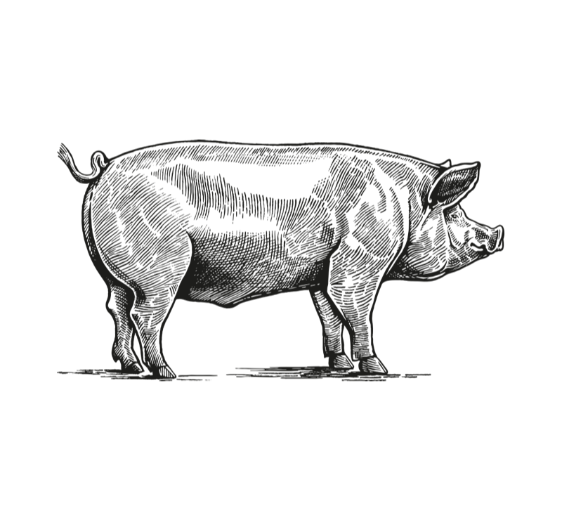 Pancetta la Dulcissima