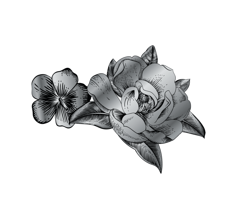 Illustrazione del prosciutto cotto Cinquefiori