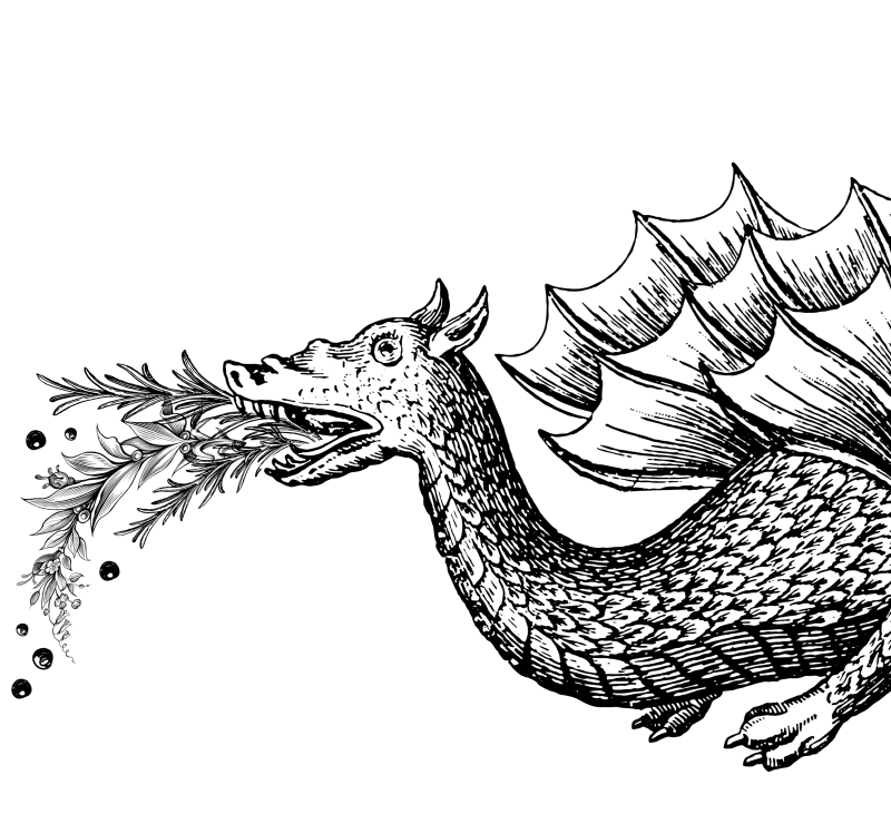 Prosciutto cotto il brace illustrazione