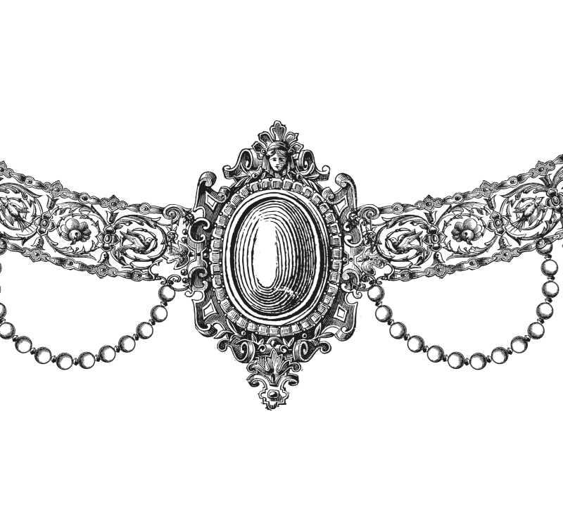 Illustrazione prosciutto cotto il prelibato