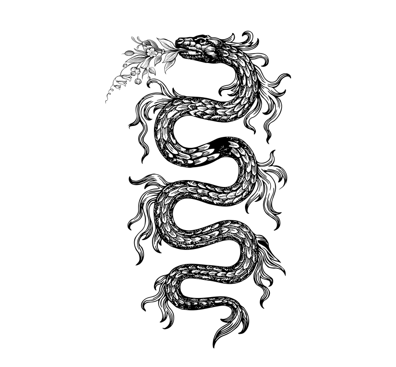 Illustrazione del salame Milano Riserva