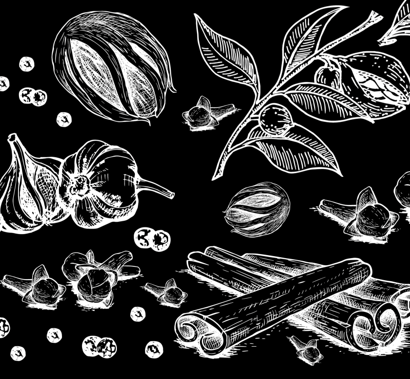 pancetta pepe nero illustrazione