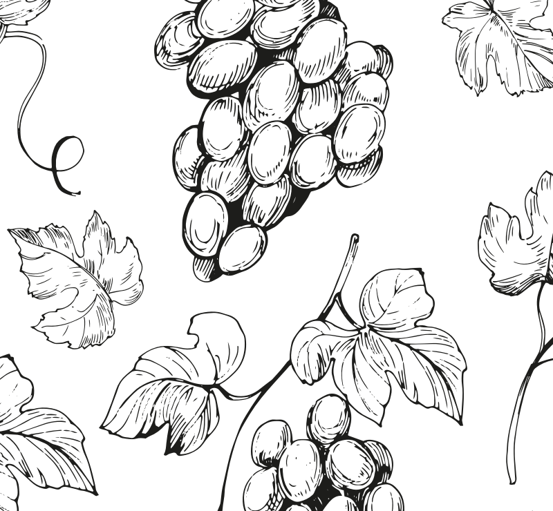 Salame al Barolo