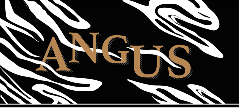 illustrazione-black-angus