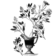 etichetta prosciutto cotto il fiordaliso