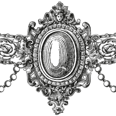 etichetta prosciutto cotto il prelibato