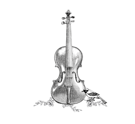 Illustrazione del prosciutto crudo il San Daniele