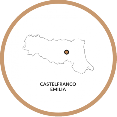 Castelfranco Emilia