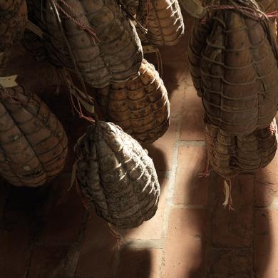 culatello